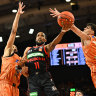 Bryce Cotton of the Wildcats goes to the basket against Cairns.