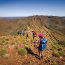 Trek Larapinta offers an economical way to tick off an iconic walk, while volunteering.