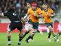 Wallabies captain Harry Wilson on the charge against New Zealand.