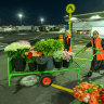 Victoria Whitelaw taking with her flowers bought from Melbourne Market.