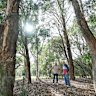 Tammie Zarro and Graham Scott, of the Friends of Gardiners Creek Reserve Burwood, share the concerns of Whitehorse and Monash councils.