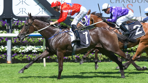 Seabrook wins the Sweet Embrace Stakes and moves from $51 to $17 in the Golden Slipper.