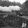 The Puffing Billy in 1962.