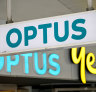‘It’s almost a fluke’: why NSW drivers’ licences have largely been spared in Optus hack