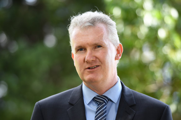 Labor's arts spokesman, Tony Burke, said the arts "drive how we find our place here, how we learn about each other and how the world understands us".
