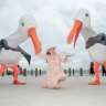 Beware the four-metre seagulls ... Sydney Festival is back