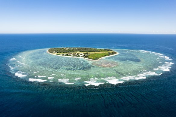 Underrated beauty ... Lady Elliot Island, at the southern tip of the Great Barrier Reef. 