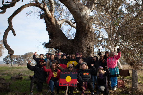 Activists plan to blockade this tree, which is thought to be 800 years old.