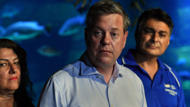 Opposition Leader Tim Nicholls on the campaign trail in Cairns on Wednesday.