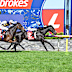 Point Of Law wins the Geelong Cup.