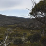 Canberra's drinking water catchment now 'endangered' area