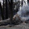 Last year 5 million hectares of land was burnt in WA. So, does prescribed burning work?