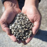 Recycled concrete is Perth's latest eco-tech, but will councils trust it?
