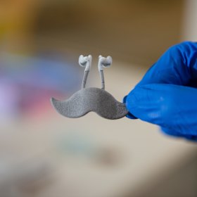 Victoria will partake in a trial of Rhinomed Junior.