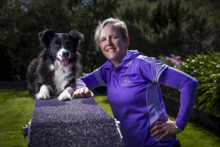 Obstacles are no obstacles: Border collie Rihanna with handler Roslyn Atyeo.