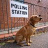 A dog sits outside a polling station in London during the last UK election. Just over 48 million people were eligible to cast a ballot, while there are about 1.6 million 16 and 17-year-olds.