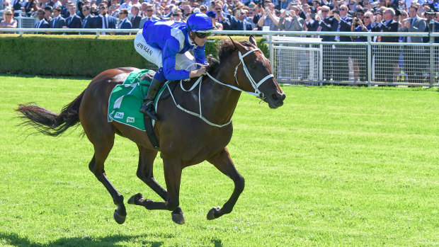 Stunning: Winx romps home to win the Chipping Norton Stakes at Randwick on Saturday.