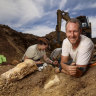 Queensland plesiosaur fossil managed to keep its head screwed on