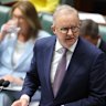 Anthony Albanese in parliament this week.