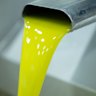 Oil from the first harvest of Cobram’s olives pours out of a centrifuge.