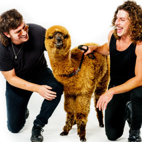 Reuben Styles (L) and Adam Hyde with  Capudo the alpaca.