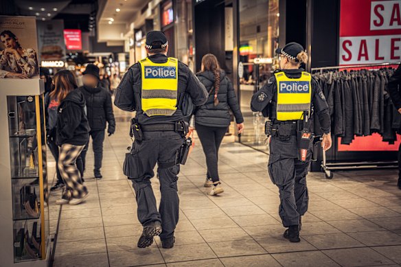 Youth offending in Victoria is at its highest level since electronic records commenced in 1993.