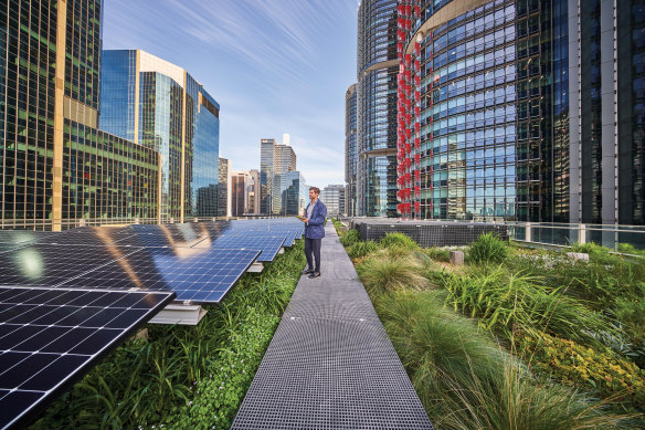 A Lendlease staff member visits the rooftop of  Daramu where a scientific study found the rooftop garden increased the efficiency of the solar panels. 