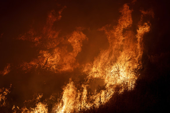 Flames consume brush along Gilman Springs Road during the Rabbit Fire late on Friday, July 14.