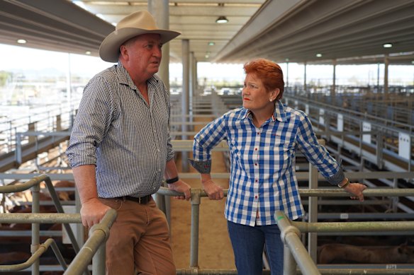 Barnaby Joyce anunció a finales del año pasado que desertaría y se uniría a One Nation.
