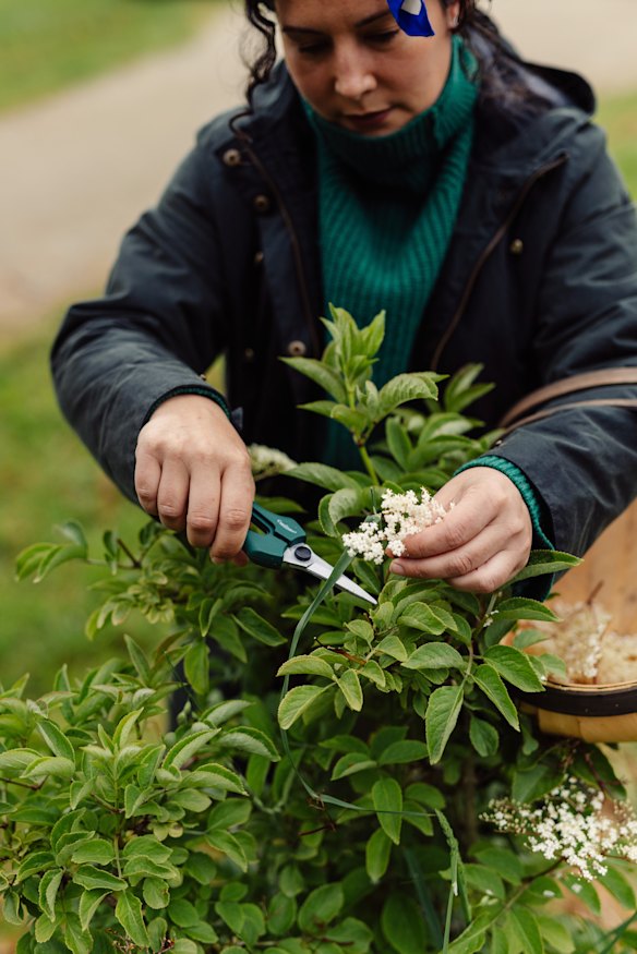 Finding time to forage and garden is one of her great joys, Gregory says. “Until now, those things have been working against my life as a chef.”