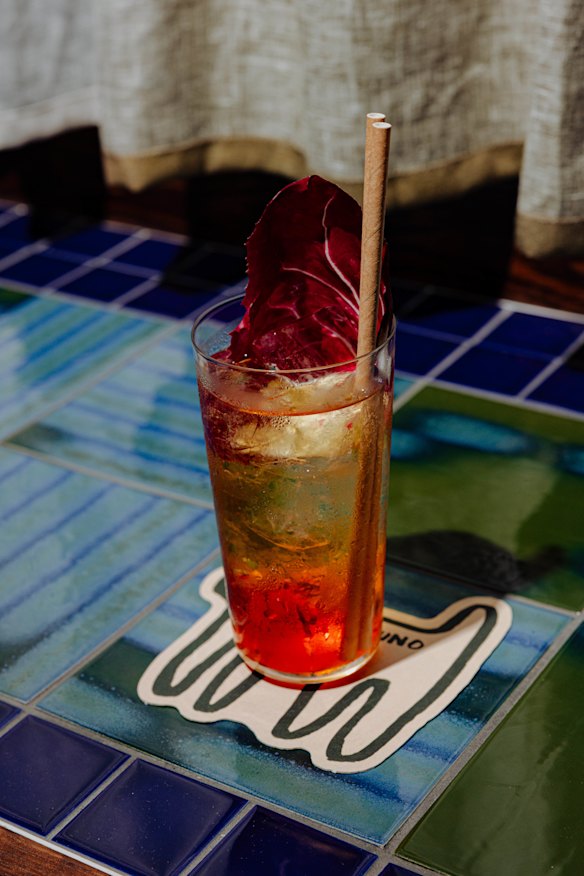 Strawberry radicchio spritz.