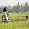 Bali’s interior moves to a different rhythm.