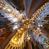 The ceiling at the Basilica of the Sagrada Familia.