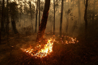 A spot fire burning at the weekend between Orbost and Cann River.