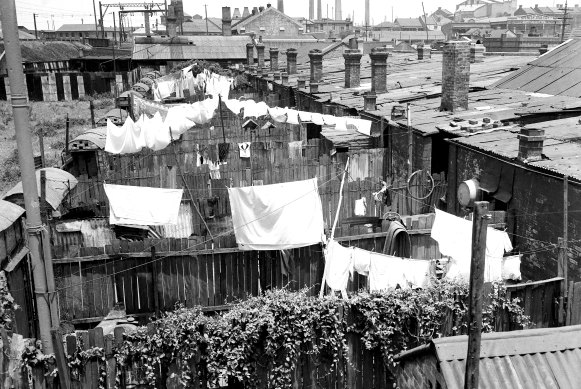 Erskineville backyards and rooftops in 1939.