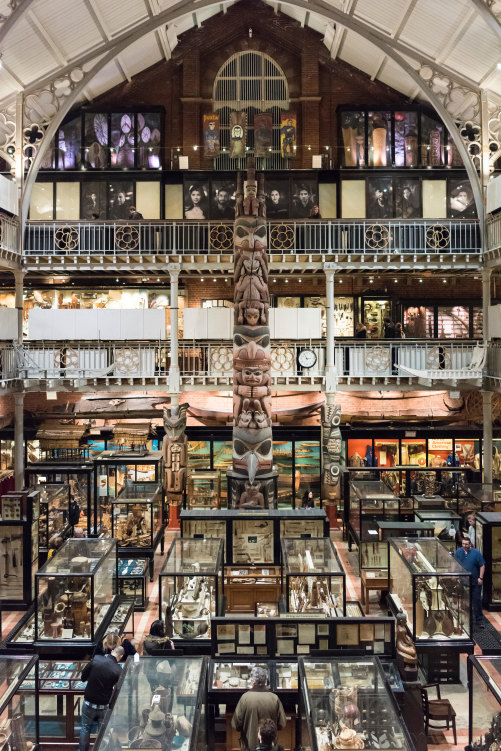 Oxford’s Pitt Rivers Museum.