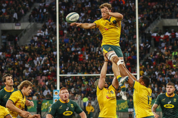 Taking matters into his own hands: Michael Hooper presents as a lineout option against the Springboks in Port Elizabeth.