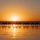 Broome’s iconic Cable Beach was named for a nearby subsea telegraph cable linking Australia to Java.