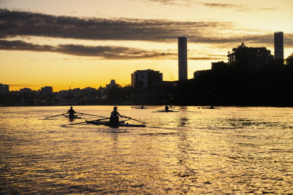 Rowers on the Brisbane River.
