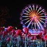 Floriade after dark … Vivid-style illuminations enhance the spring bloom displays.