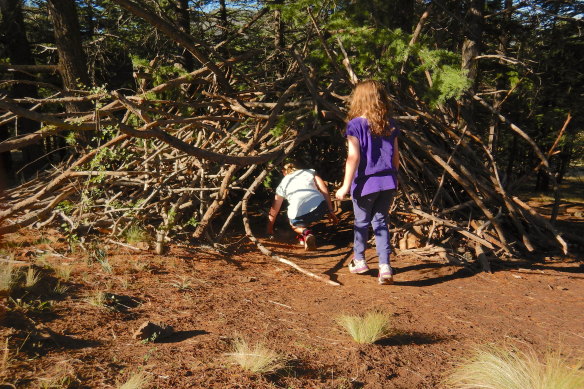 Playing at a temporary bush cubby at the National Arboretum.