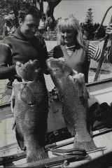 Ron Taylor and Valerie Taylor in 1965. They were both national spearfishing champions.