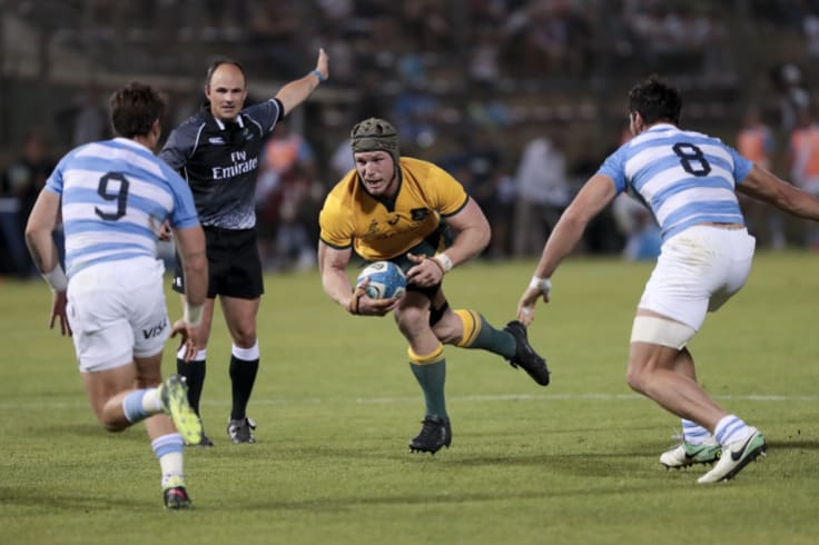Outside chance: David Pocock carries for the Wallabies in Argentina.
