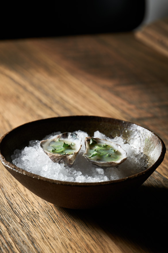Fresh oysters.