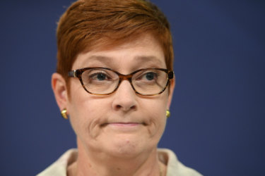 Foreign Minister Marise Payne addresses media in Sydney, Thursday, January 24, 2019. (AAP Image/Dan Himbrechts) NO ARCHIVING