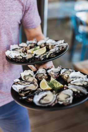 Oysters at Get Shucked, Bruny Island.