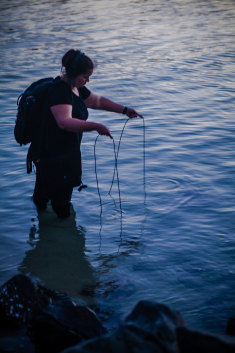 Leah Barclay records the rich sounds underwater in fresh water and marine environments.