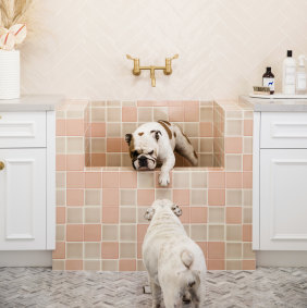 Bonnie designed a laundry for her own home that includes a tiled dog bath.