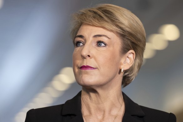 The Coalition’s employment and workplace relations spokeswoman, Michaelia Cash. 