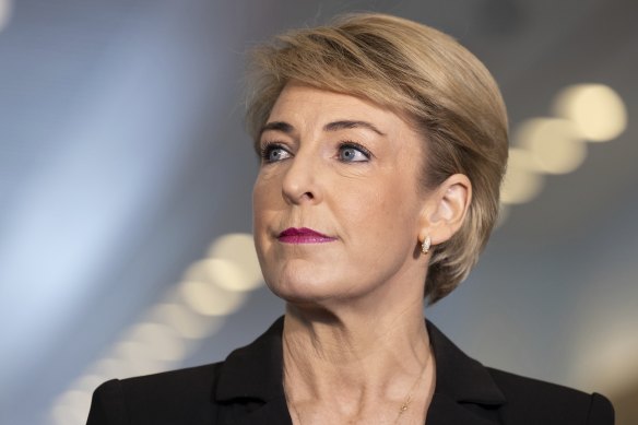 Former federal minister Michaelia Cash testified in the Bruce Lehrmann rape trial.